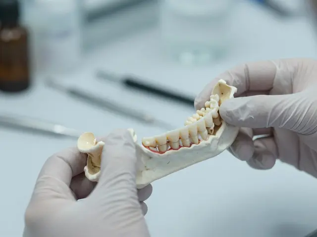 Forensic Odontology: How Dental Records Identify Missing Persons