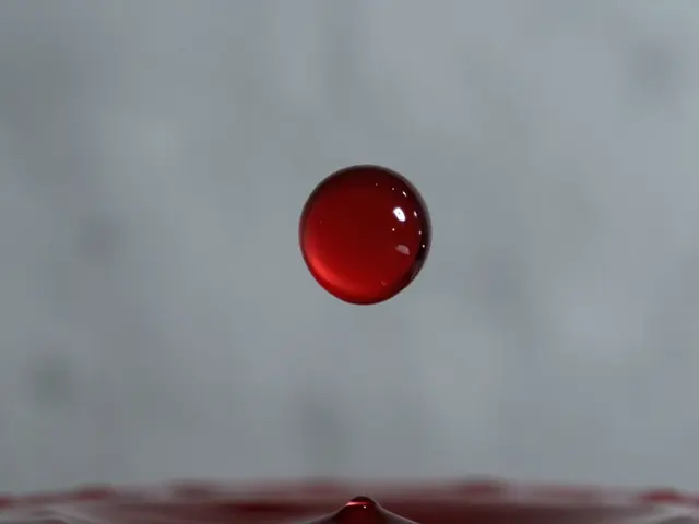 Passive Blood Drops: Understanding Gravity-Induced Stain Patterns in Forensics