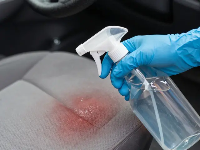 Vehicle Biohazard Cleanup: Blood and Body Fluid Protocols