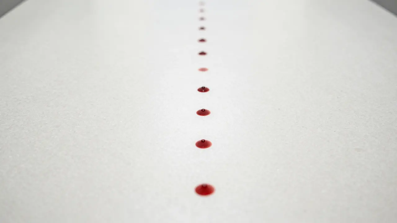 Vertical trail of small round blood stains on a smooth linoleum floor