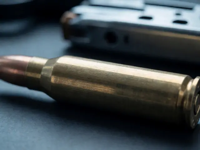 Magazine and Feed System Marks: Linking Firearms to Cases